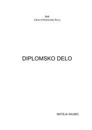 DIPLOMSKO DELO - B&B, doo