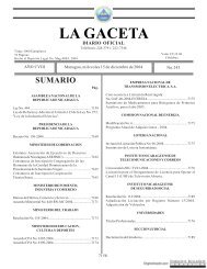 Gaceta - Diario Oficial de Nicaragua - # 243 de 15 Diciembre 2004
