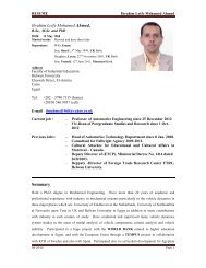 Ibrahim Lotfy Mohamed Ahmed, Summary - Helwan University