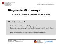 What are microarrays and how do they work? - Cost 873