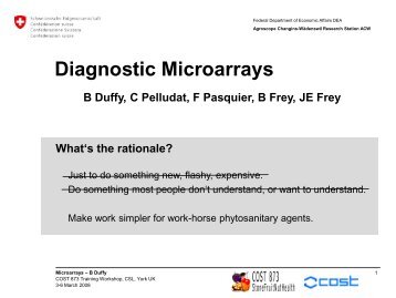 What are microarrays and how do they work? - Cost 873