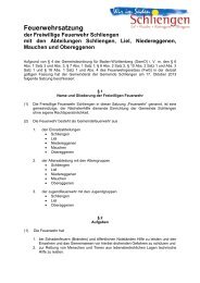 Feuerwehrsatzung - Gemeinde Schliengen