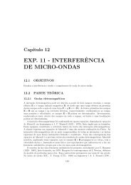 Experimento 11 - Instituto de FÃ­sica da UFBA