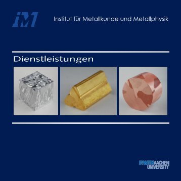 Dienstleistungen - (IMM) der RWTH Aachen