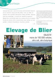 Elevage de Blier - AWE