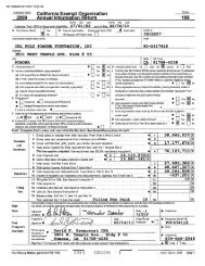 CA Exempt Organization Annual Information Tax Return Form 199 ...