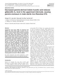 Decreased panicle-derived indole-3-acetic acid reduces gibberellin ...