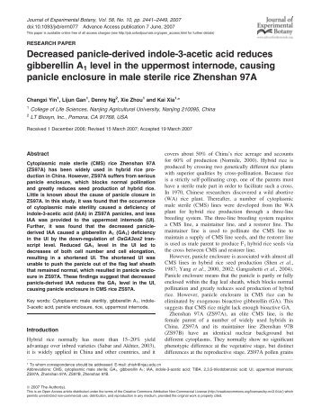 Decreased panicle-derived indole-3-acetic acid reduces gibberellin ...