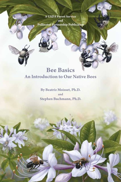 Bee Basics - USDA Forest Service - US Department of Agriculture