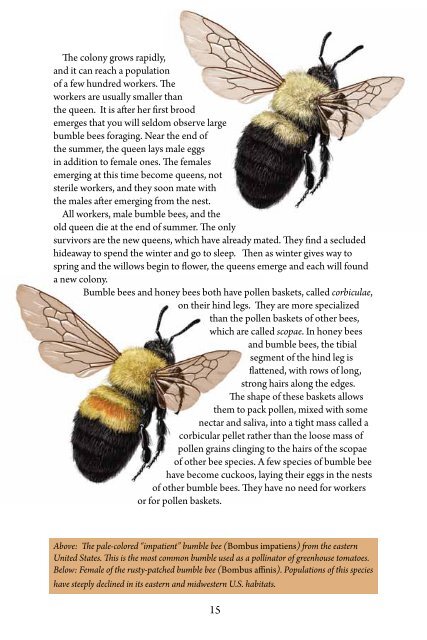 Bee Basics - USDA Forest Service - US Department of Agriculture