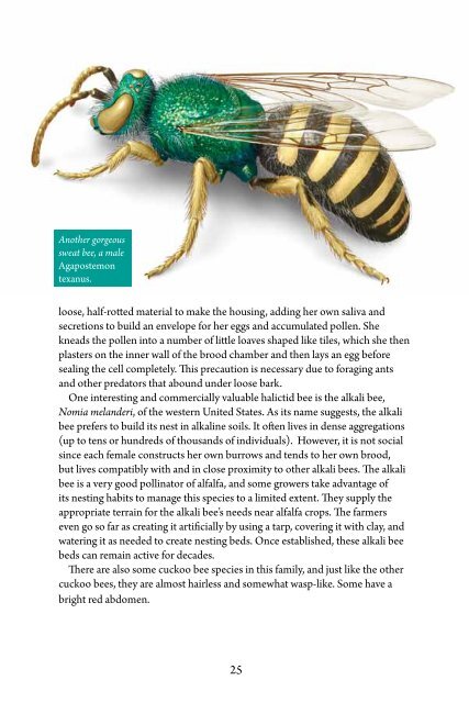 Bee Basics - USDA Forest Service - US Department of Agriculture
