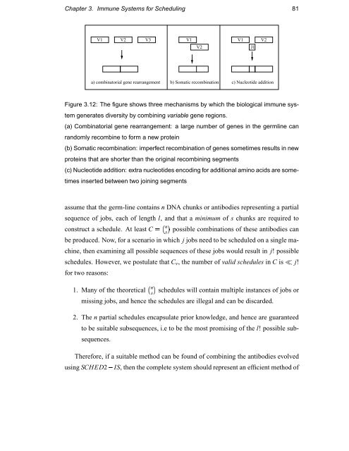 Immunology as a Metaphor for Computational ... - Napier University