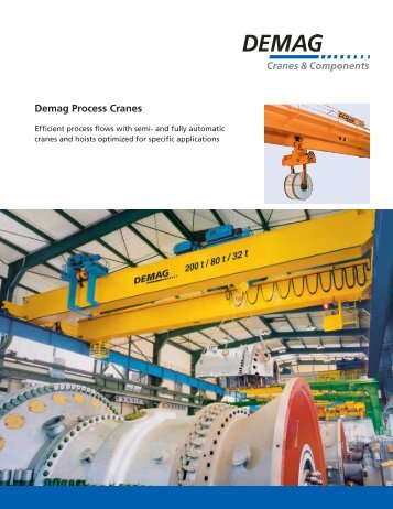 Demag Process Cranes - Demag Cranes & Components