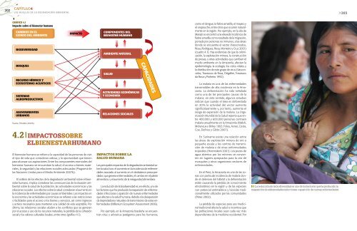 Perspectivas del Medio Ambiente en la Amazonía: Geo ... - CDAM