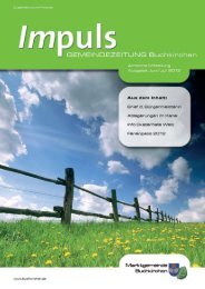 (8,89 MB) - .PDF - Buchkirchen