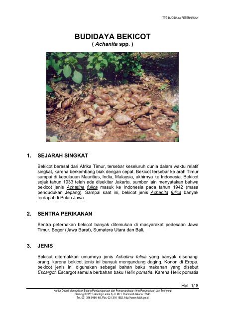 Budidaya Bekicot Warintek