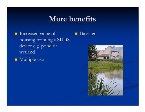 Susanne Charlesworth SUDS Overview.pdf