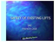 SAFETY NORM FOR EXISTING LIFTS - ELA European Lift ...