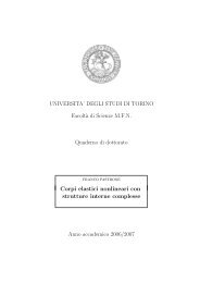 Corpi elastici non lineari con strutture interne complesse - Matematica