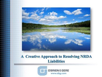 A Creative Approach To Resolving NRDA Liabilities - NSRP