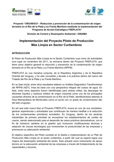 Documento Proyecto PML en Curtiembres - Programa EcoPlata