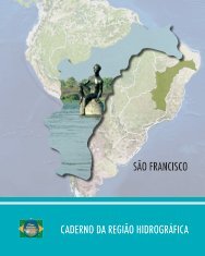 12 - Cenários prospectivos para os vales do São Francisco e do Parnaíba  2009 a 2028.jpg — Companhia de Desenvolvimento dos Vales do São Francisco e  do Parnaíba Codevasf