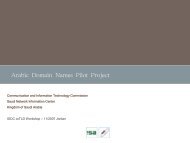 Arabic Domain Names Pilot Project