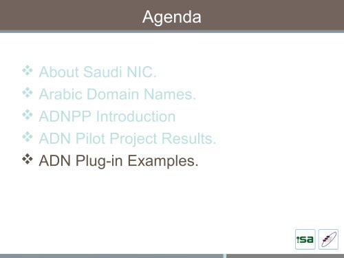 Arabic Domain Names Pilot Project