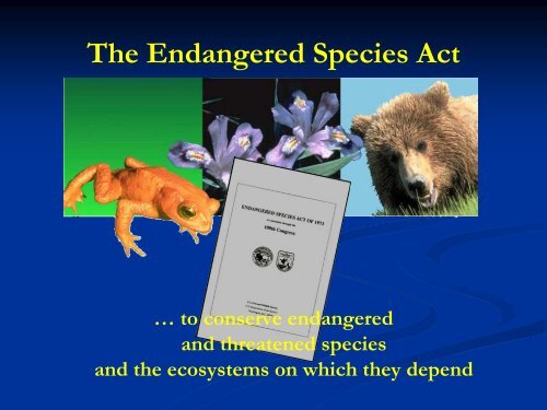 The Endangered Species Act & Section 7 - El Dorado County ...