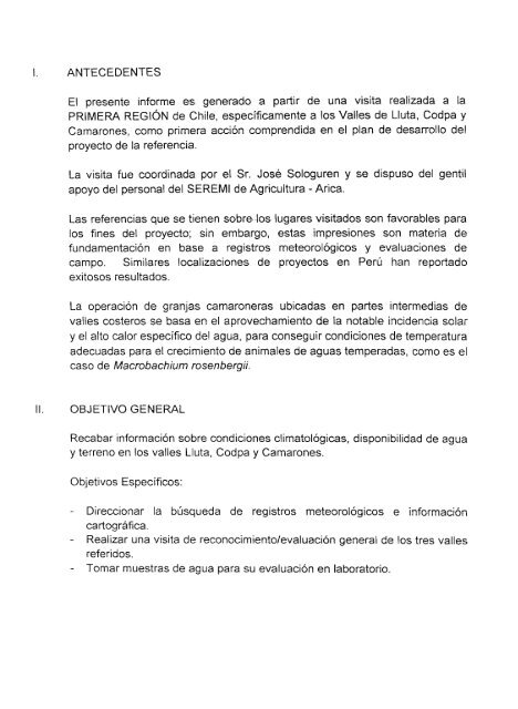 Crianza de camarones para exportaciÃ³n en granja ubicada en la ...