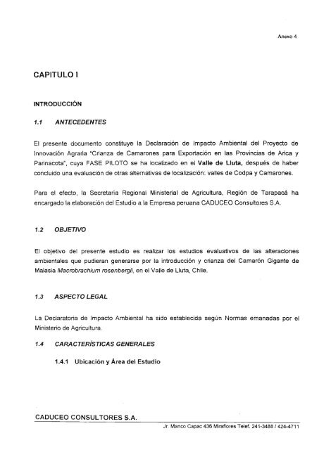 Crianza de camarones para exportaciÃ³n en granja ubicada en la ...