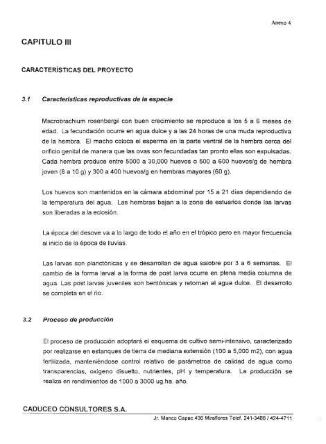 Crianza de camarones para exportaciÃ³n en granja ubicada en la ...