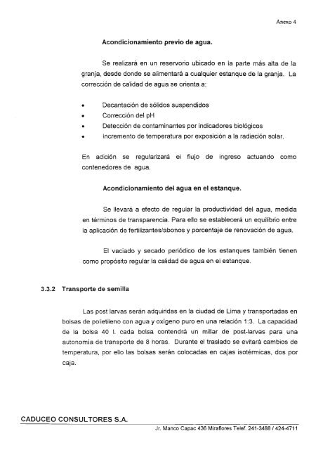 Crianza de camarones para exportaciÃ³n en granja ubicada en la ...