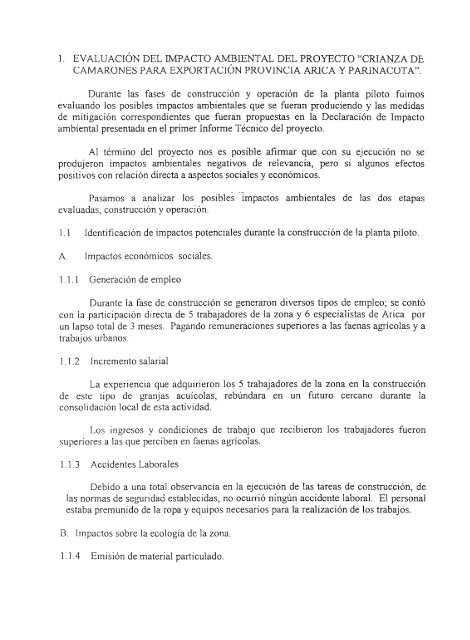 Crianza de camarones para exportaciÃ³n en granja ubicada en la ...