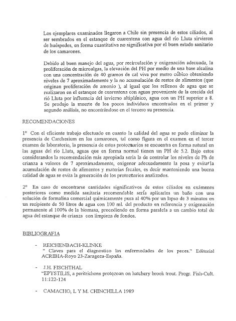 Crianza de camarones para exportaciÃ³n en granja ubicada en la ...