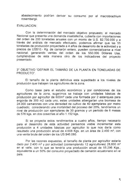 Crianza de camarones para exportaciÃ³n en granja ubicada en la ...