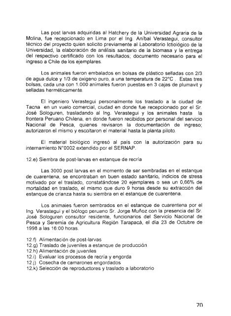 Crianza de camarones para exportaciÃ³n en granja ubicada en la ...