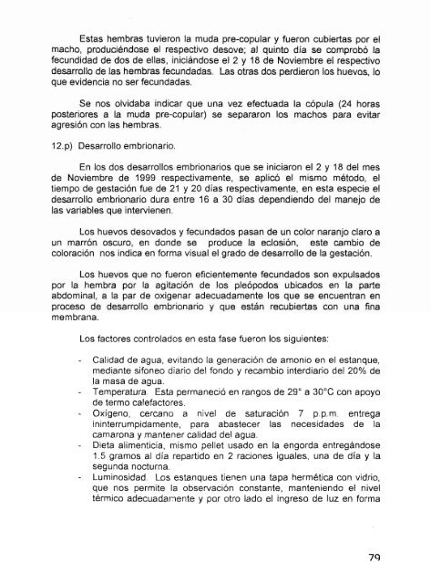 Crianza de camarones para exportaciÃ³n en granja ubicada en la ...