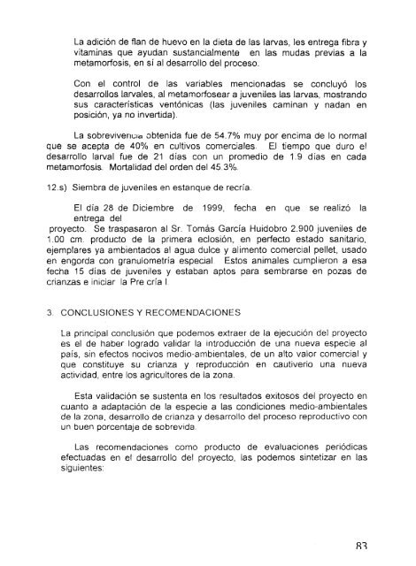 Crianza de camarones para exportaciÃ³n en granja ubicada en la ...