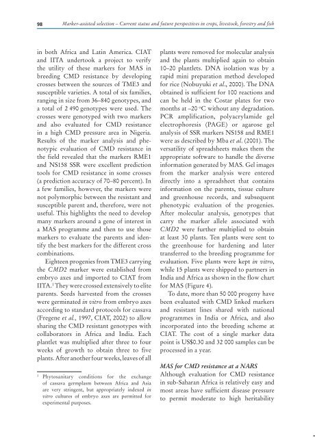 marker-assisted selection in wheat