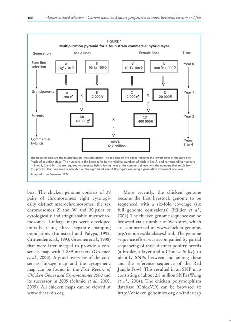 marker-assisted selection in wheat