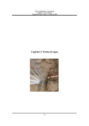 CapÃ­tulo 4- Perdas de Ã¡gua - Crea-SP