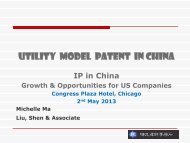 Utility Model Patent in China
