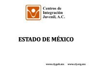 Estado de México - Centros de Integración Juvenil