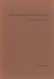 VIRUS-MEMB NE INTERACTIONS spectroscopic studies