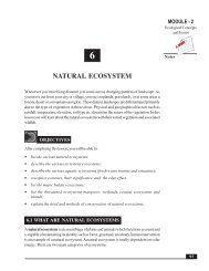 Natural Ecosystem