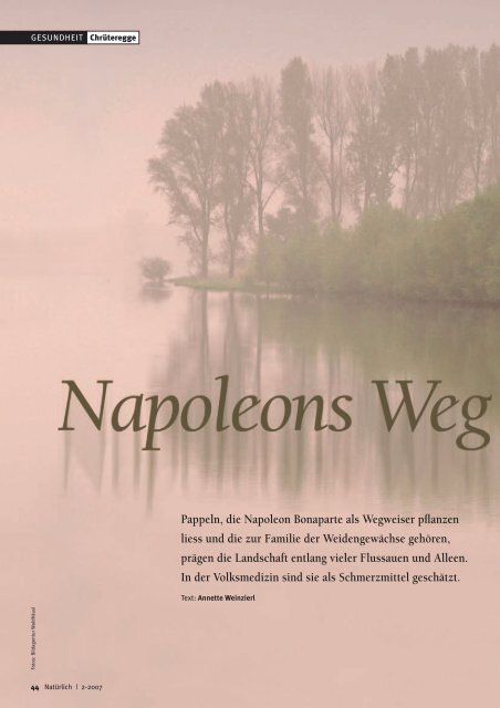 Pappeln: Napoleons Wegweiser - Natürlich