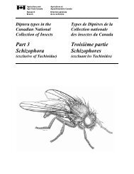 Diptera types in the Canadian National Collection of Insects. Part 3 ...