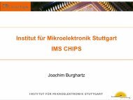ims chips