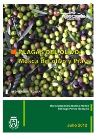 MOSCA DEL OLIVO - AgroCabildo